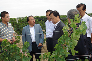 2012年，時任國務院副秘書長焦煥成（左四）視察威龍公司